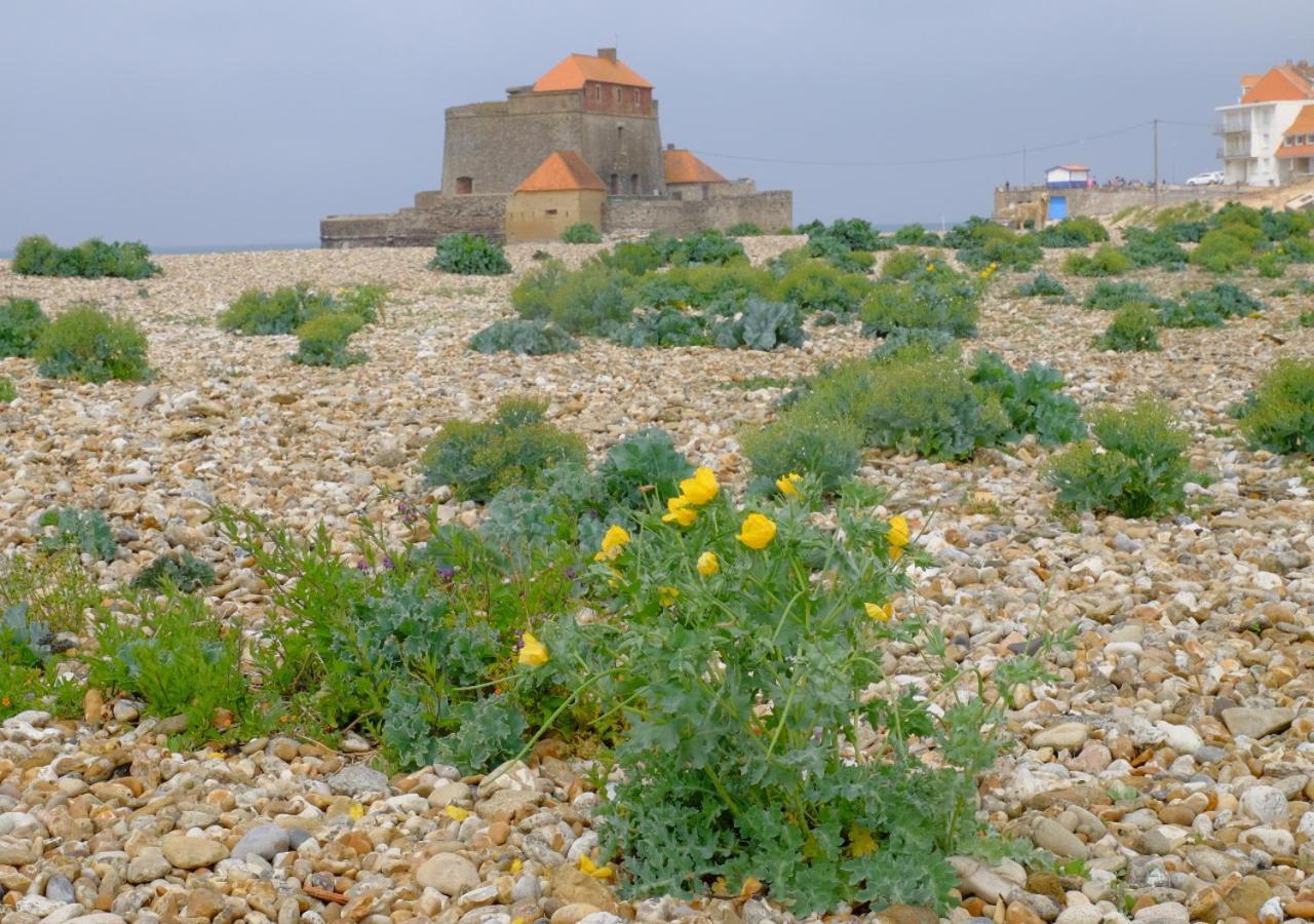 דירות וימרה Sea Wind And Sun מראה חיצוני תמונה